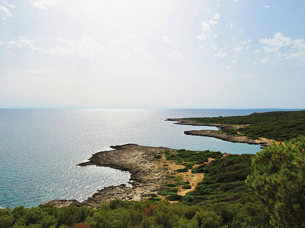 Weitwinkel-Panorama der zerklüfteten Küste Apuliens mit türkisblauem Wasser, hellen Felsen und grüner mediterraner Vegetation.