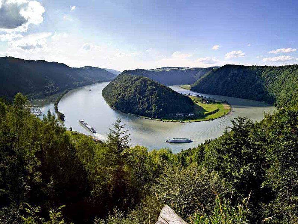 Blick auf die Donauschlinge, die sich in einer Doppel-S-Kurve um das Granitgestein windet.