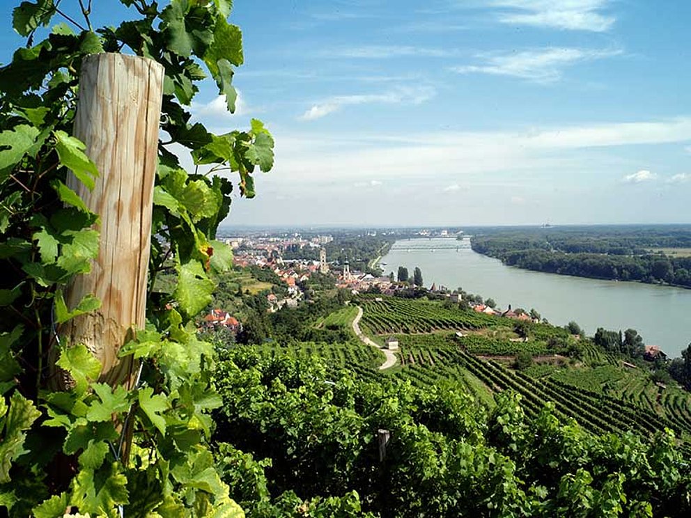 View of Krems, situated at the riverside of the Danube