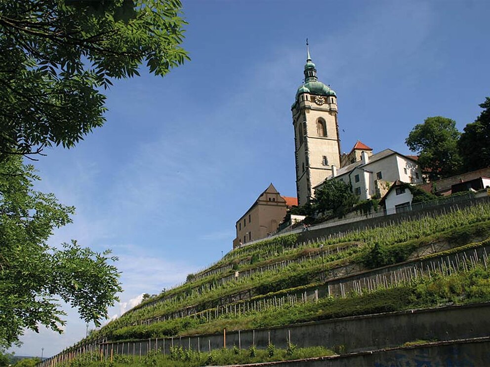 Ansicht vom Schloss, davor Weingärten