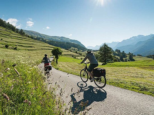 2 Radfahrer am asphaltieren Radweg, umgeben von frisch gemähten Wiesen