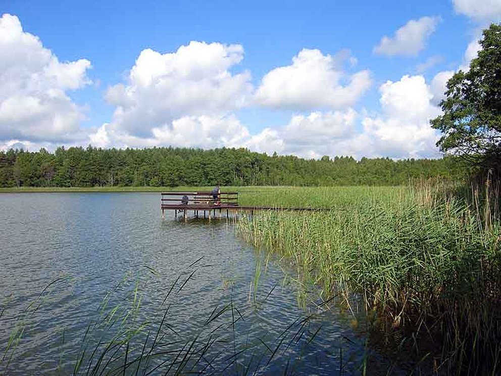 Blick auf die Seen-Landschaft in Polen