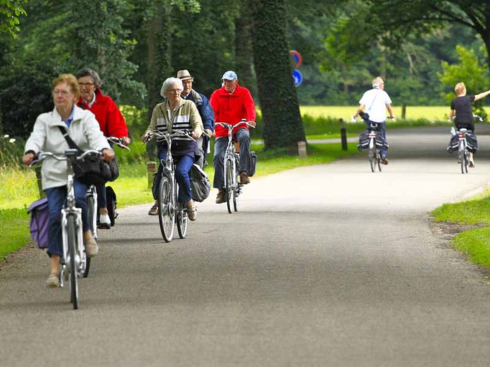 Viele Radfahrer auf einem Radweg in Holland.