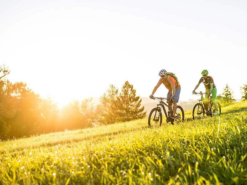 zwei Mountainbiker unterwegs auf Tour im Granitland Mühlviertel