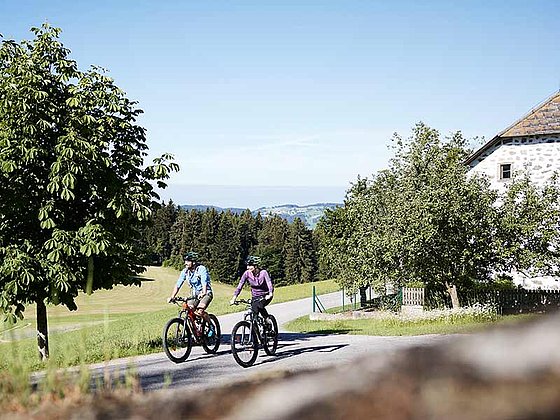 2 Radfahrer auf einem asphaltieren Radweg, im Hintergrund ein typisch Mühlviertler Steinbloss-Haus