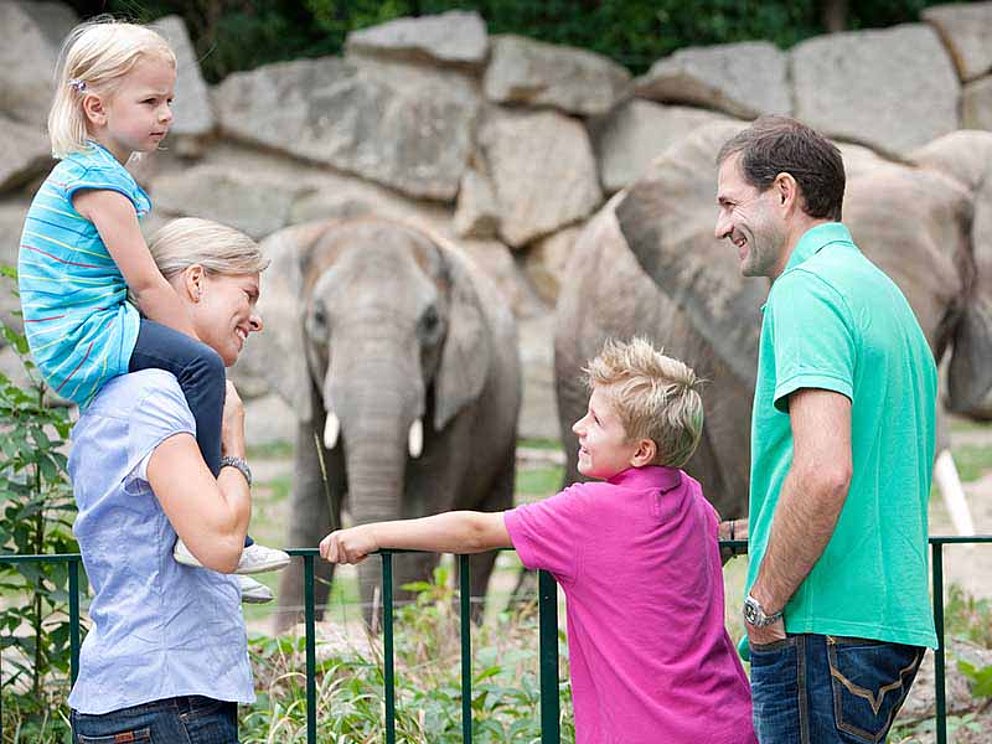 Eltern und Kinder bei den Elefanten im Zoo Schönbrunn
