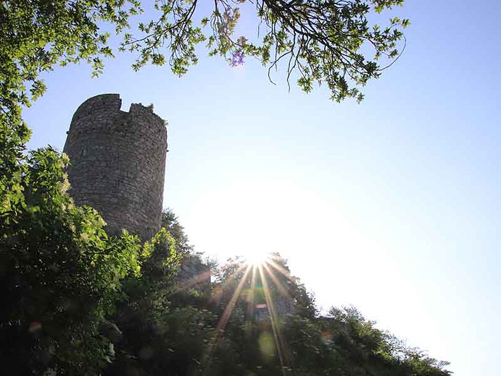 Der Turm von Ruine Prandegg ragt über die Baumwipfel