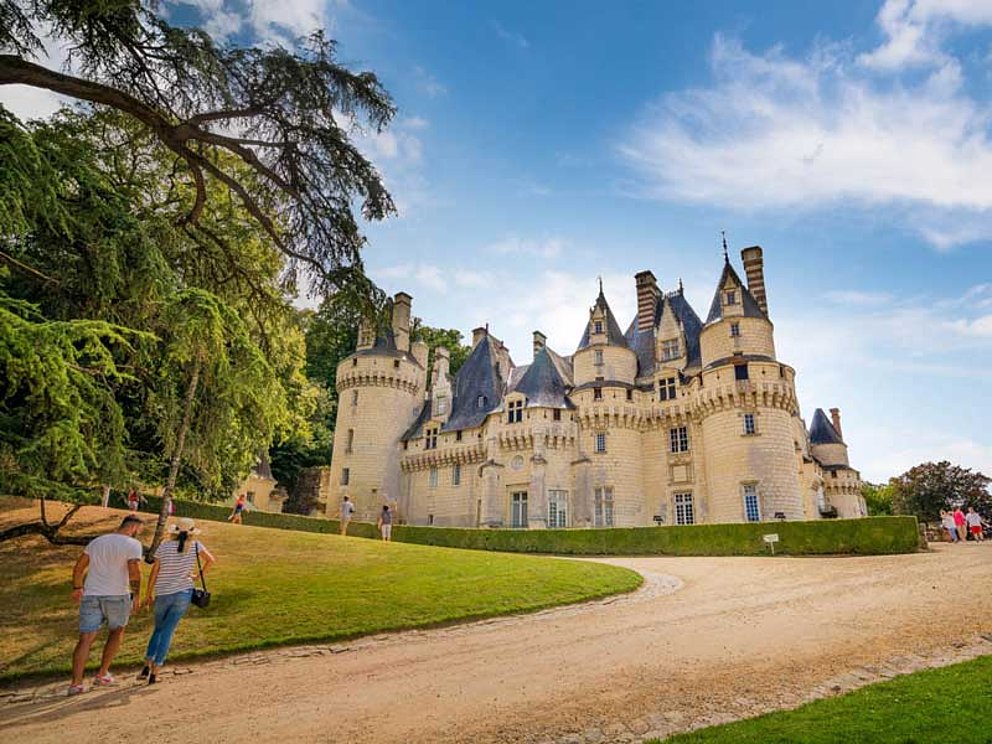 Dusse Castle in the Loire Valley