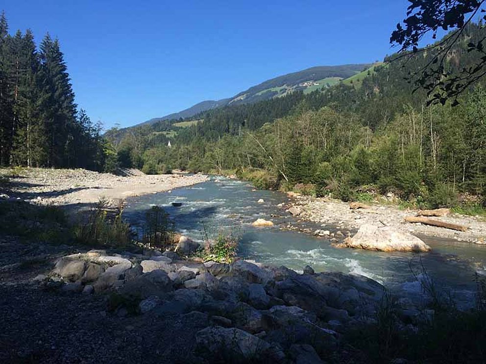 Flussverlauf Drau bei Thal in Kärnten