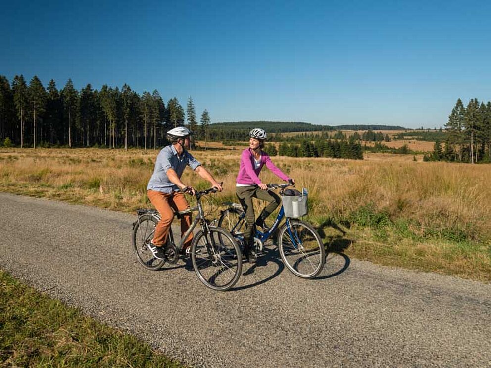 2 Radfahrer in Heidelandschaft, mit Wäldchen im Hintergrund