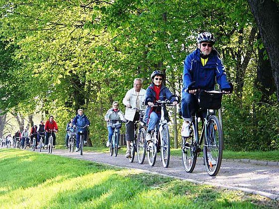 Radgruppe unterwegs an der Elbe durch den Stadtpark von Riesa