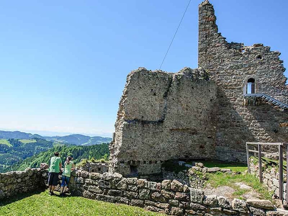 Mauerreste von Ruine Ruttenstein