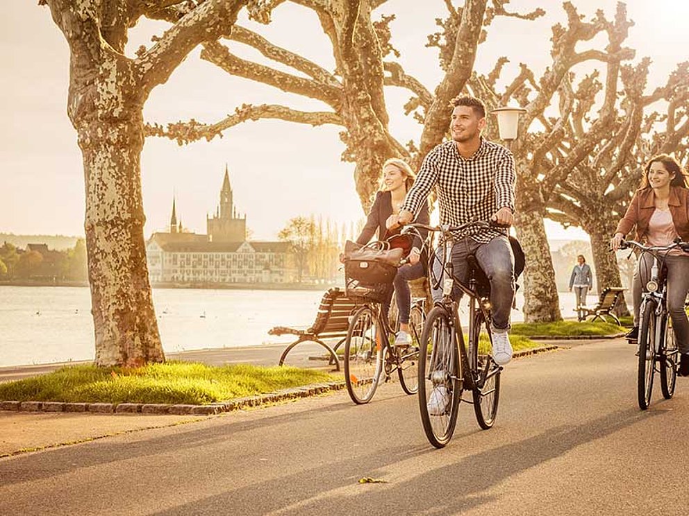 Radfahren bei Sonnenschein entlang der Seestraße mit Alle am Bodensee