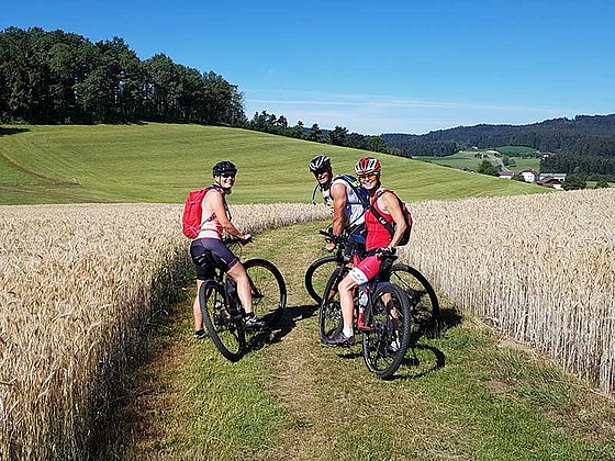 drei Mountainbiker in Gerstenfeld im Mühlviertel