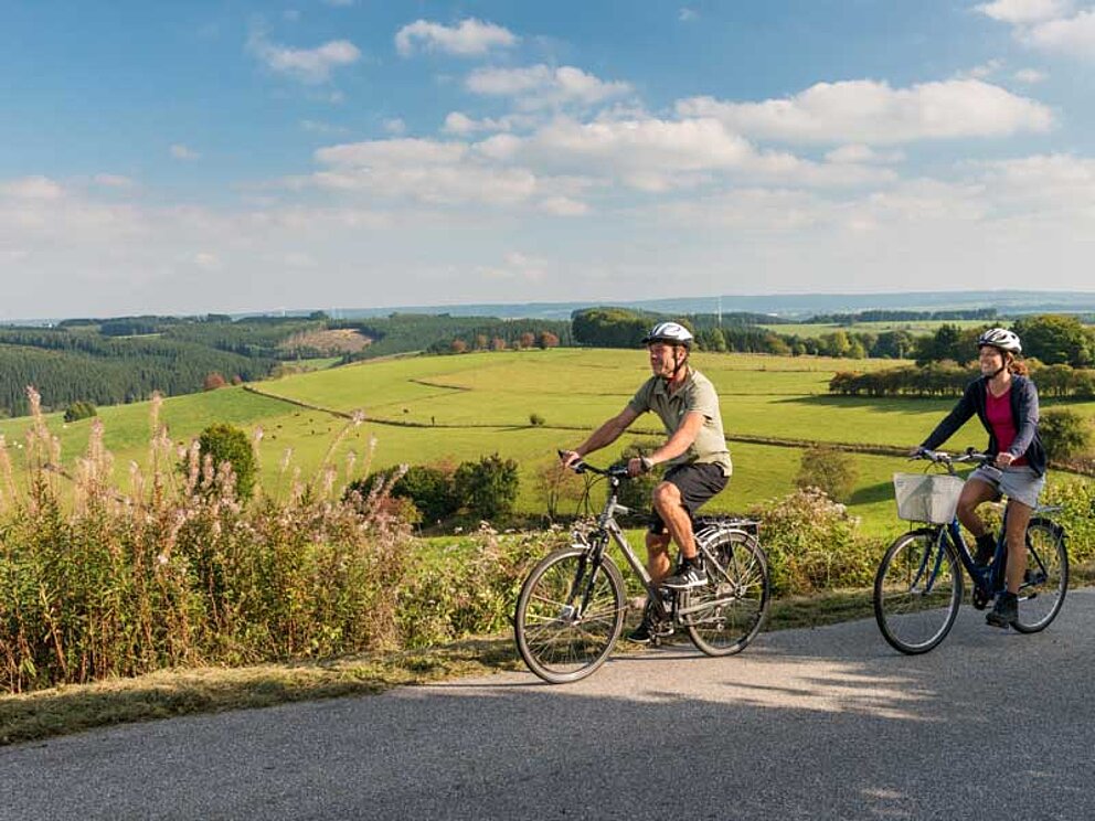 2 Radfahrer in idyllischer Landschaft, umbegen von Wiesen. In der Ferne ein Wald.