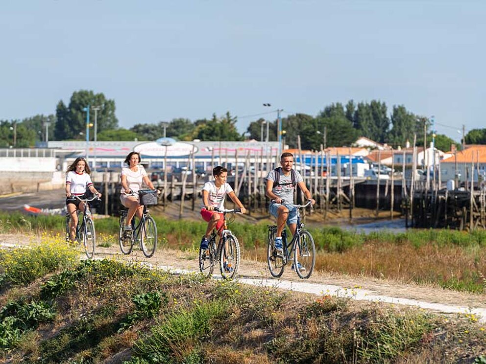 4 Radfahrer am RAdweg im Hafen