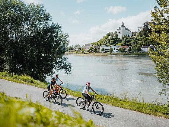 Radtour am Donauradweg bei Wilhering
