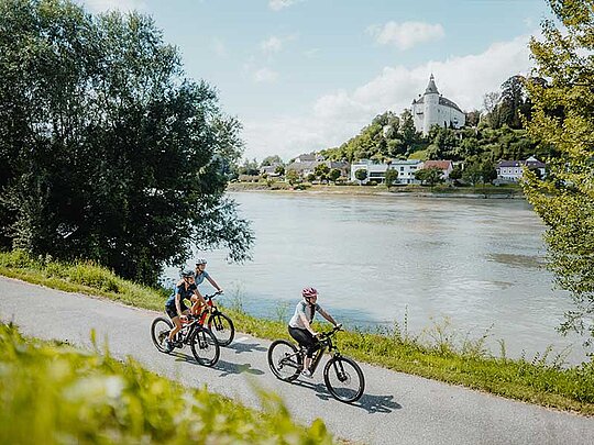 Radtour am Donauradweg bei Wilhering