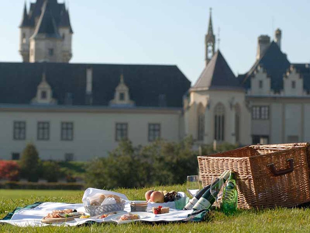 geöffneter Picknickkorb im Park des Hotel Schloss Grafenegg.