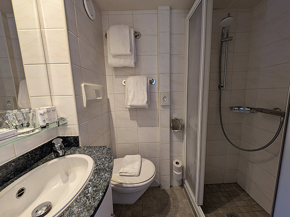 Badezimmer mit Dusche, WC und Waschbecken
