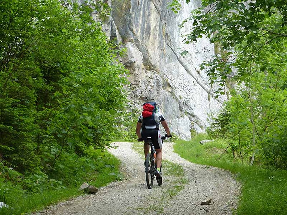 Mountainbiker am Weg Trans Nationalpark