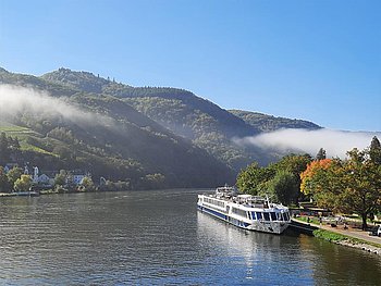 Das Flusskreuzfahrtschiff am Ufer der Donau in herbstlicher Stimmung