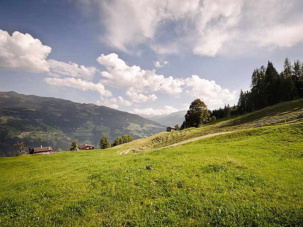 Ausblick auf die schöne Almlandschaft im Zillertal