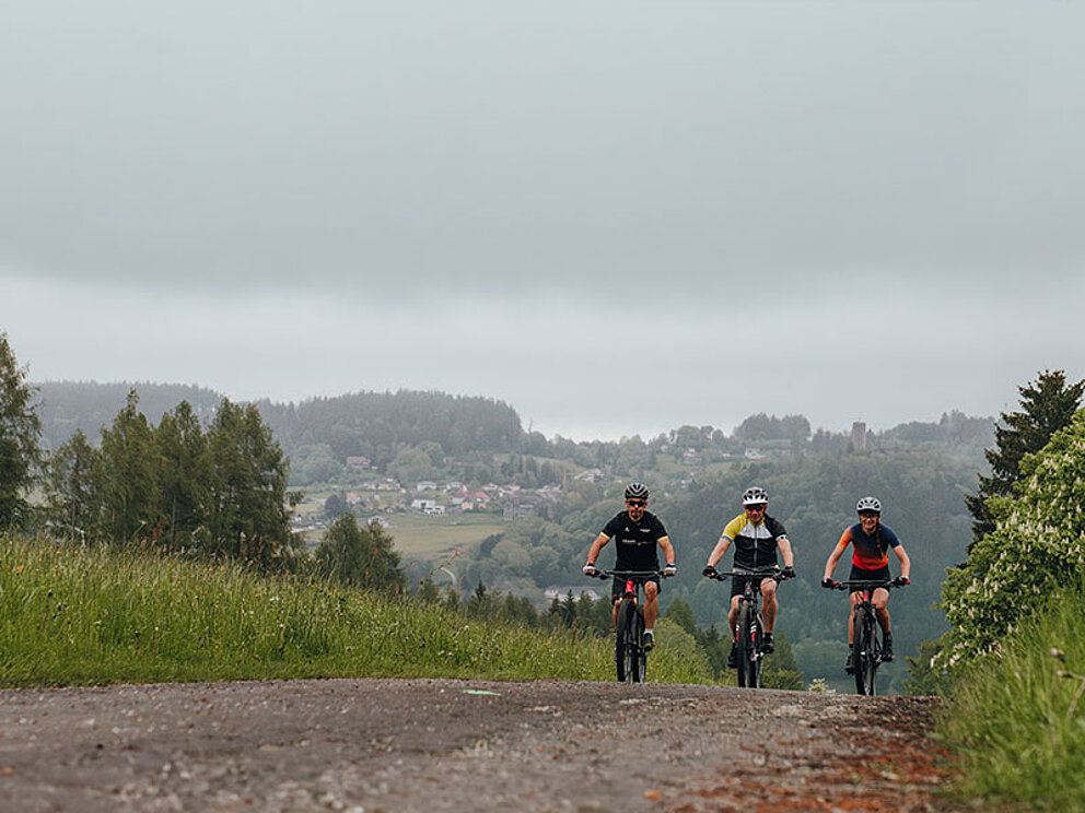 3 Mountainbiker am Weg mit Blick auf die Donau