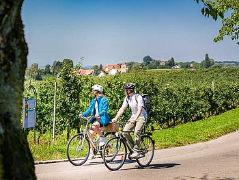 2 cyclists pass apple orchards on their way 