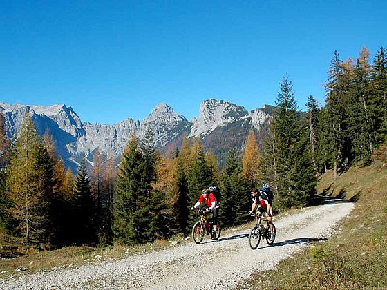 Mountainbike-Tour in der Alpenregion NP Gesäuse auf der Buchsteinrunde