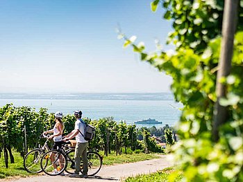 2 cyclists admire the view olf Lake Constance in the midst of apple orchards