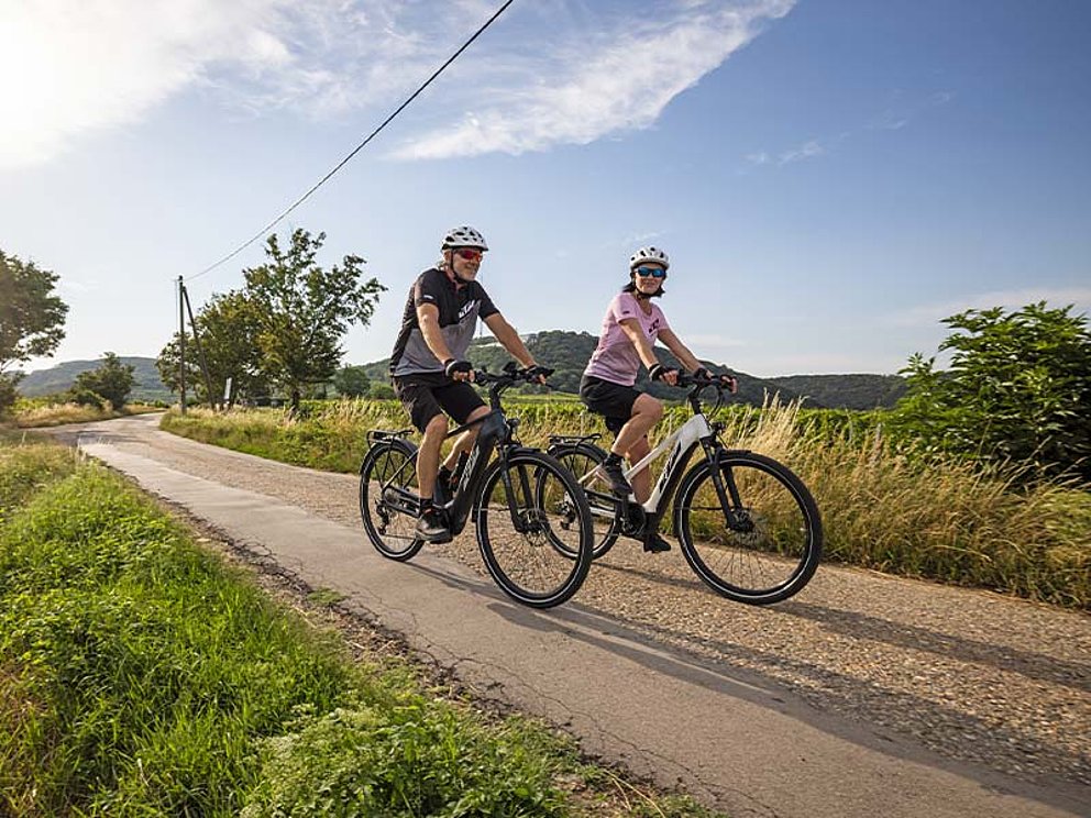 2 Radfahrer mit E-Bikes am Donauradweg nach Wien