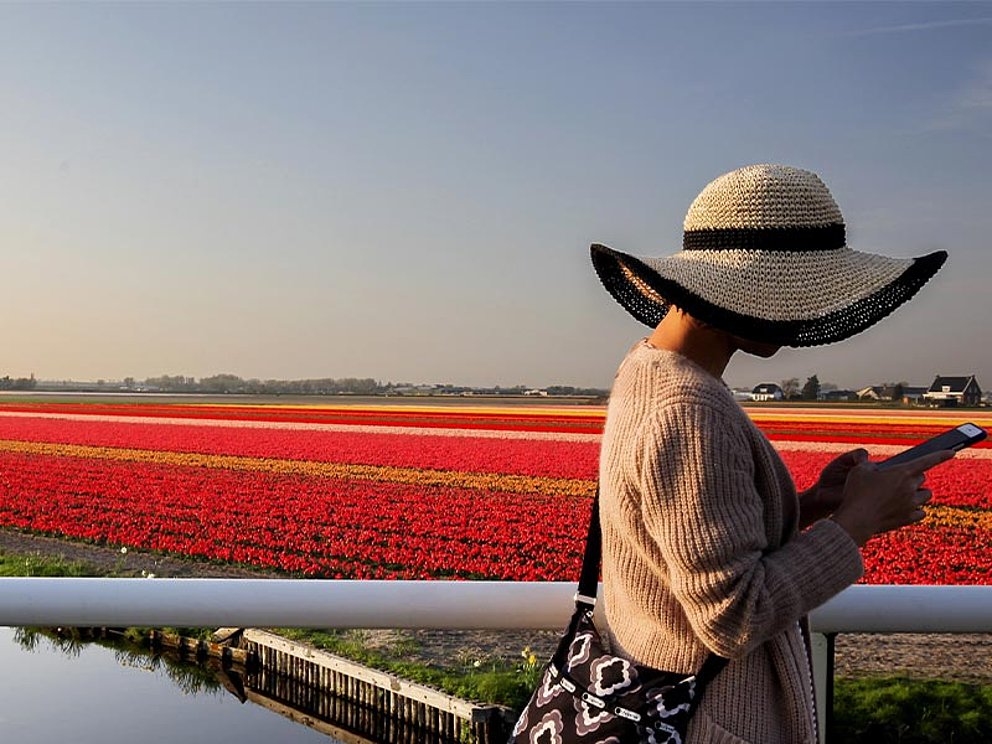 ein farbenprächtiges Tulpenfeld, im Vordergrund eine Frau mit Hut