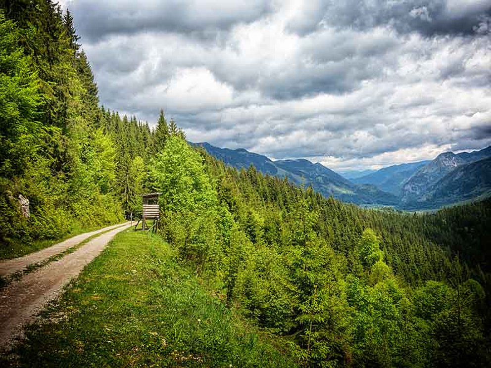 unterwegs auf der Mountainbike Buchsteinrunde in der Steiermark