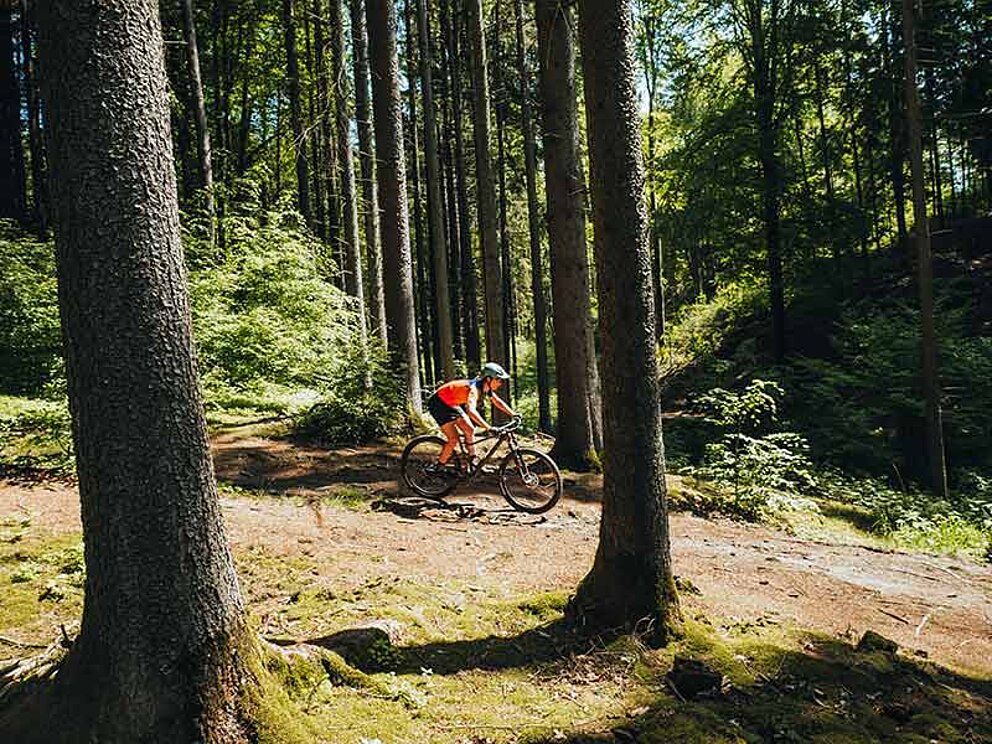 ein Biker im Wald beim bergab fahren