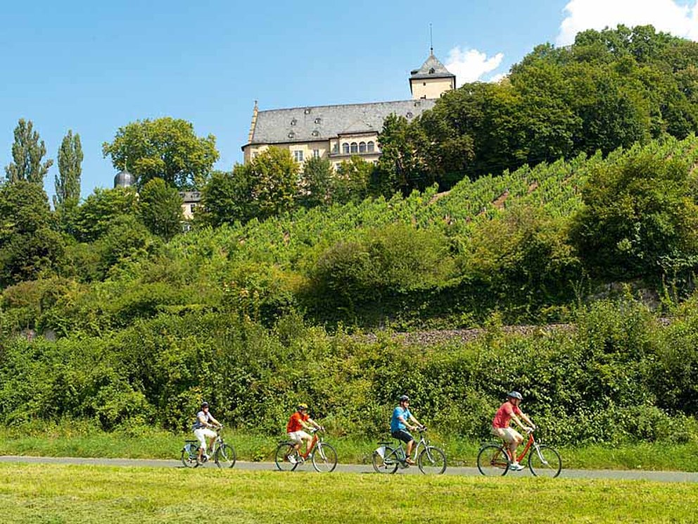 Radfahrer bei Schonungen am Mainradweg in Deutschland
