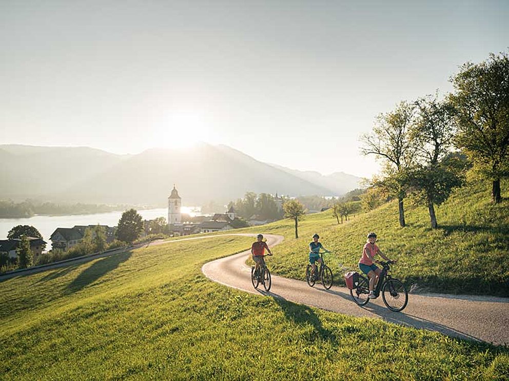a group of cyclists on their way across an idyllic countryside with lake, mountains and meadows