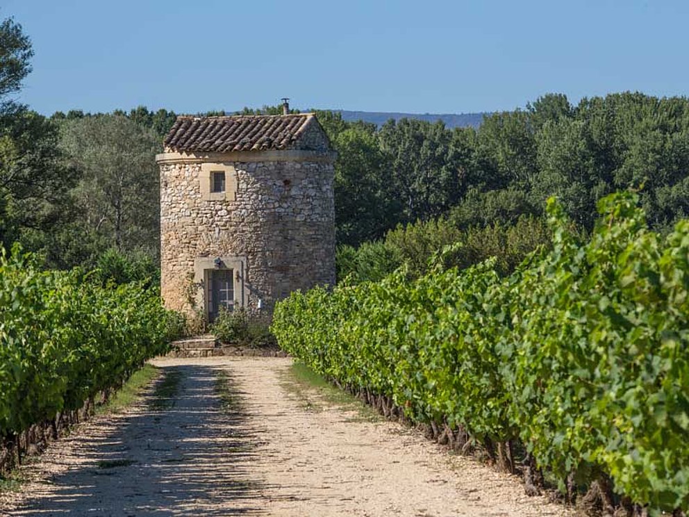 Eine steinerne Mühle inmitten von Weinreben