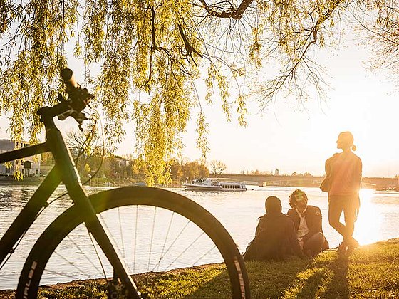 sunset at Lake Constance, people sit at the lakeside, bike in the front