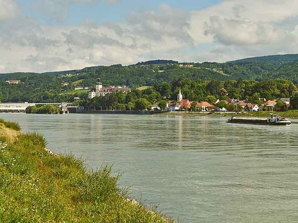 Blick von Donauradweg auf die Donau und Persenbeug