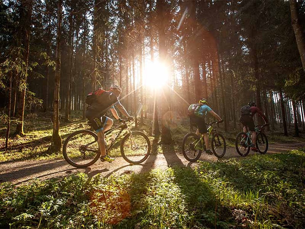 Mountainbiker am Weg durch den Wald, die Sonne scheint durch die Bäume