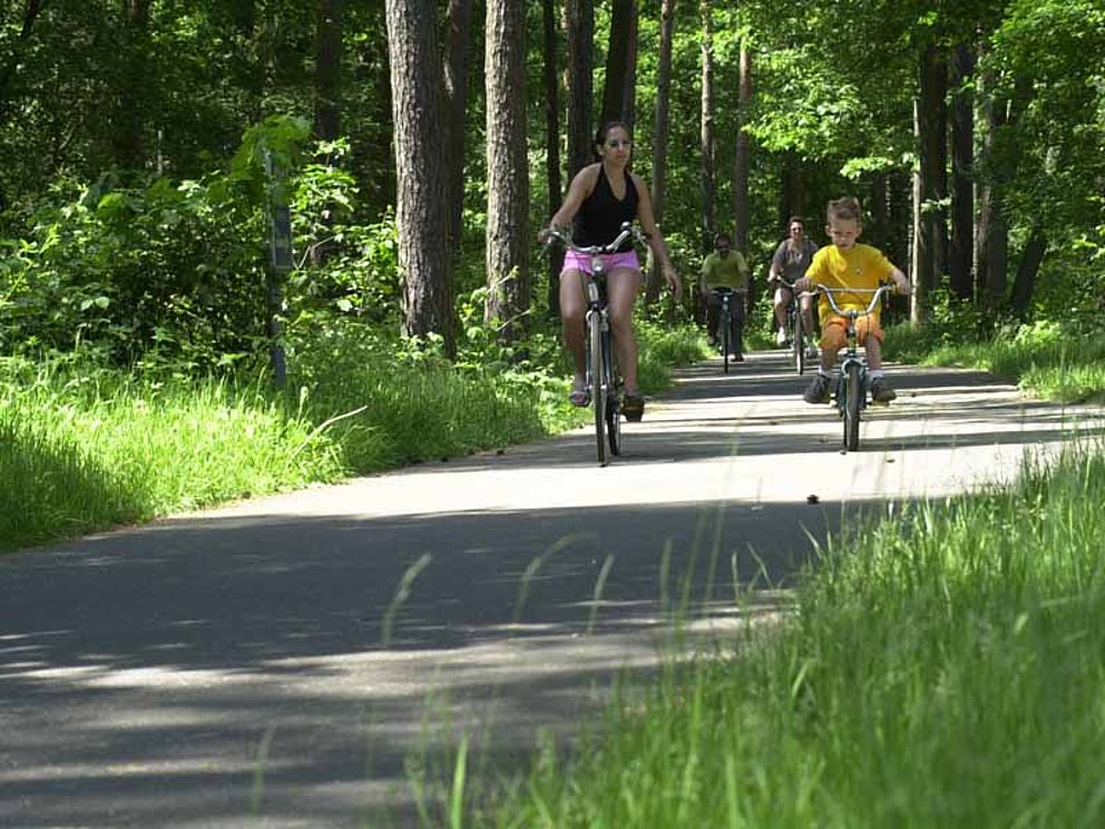 zwei Radfahrer radeln auf einer einsamen Straße durch einen Wald in Flandern.