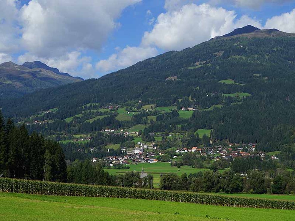 Blick auf Berg im Drautal in Österreich
