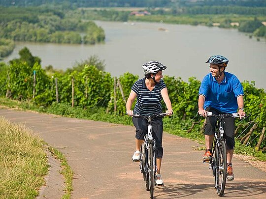 Eine Dame und ein Mann radeln auf einer einsamen Straße, vorbei an Weinreben. Im Hintergrund der Rhein