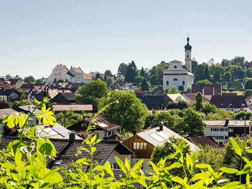 Blick durch Sträucher auf Ort Murnau mit Kirche St. Nikolaus und Schlossmuseum