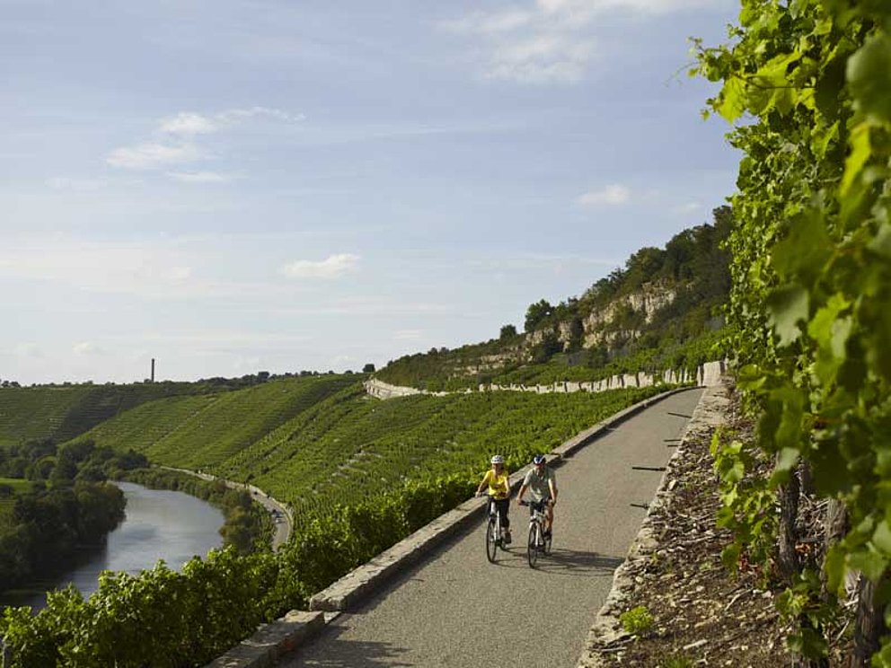 zwei Radfahrer auf dem Radweg durch die Weinberge an der deutschen Donau