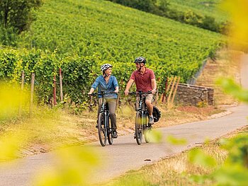 2 Radfahrer am Radweg, der durch einen Weingarten führt