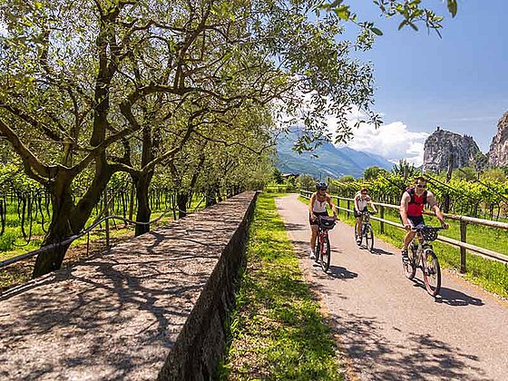Radfahrer am Radweg am Gardasee