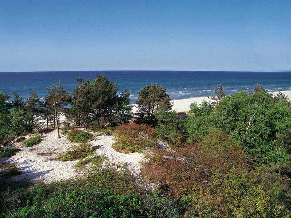 view of the coast and the dunes of Rügen Island