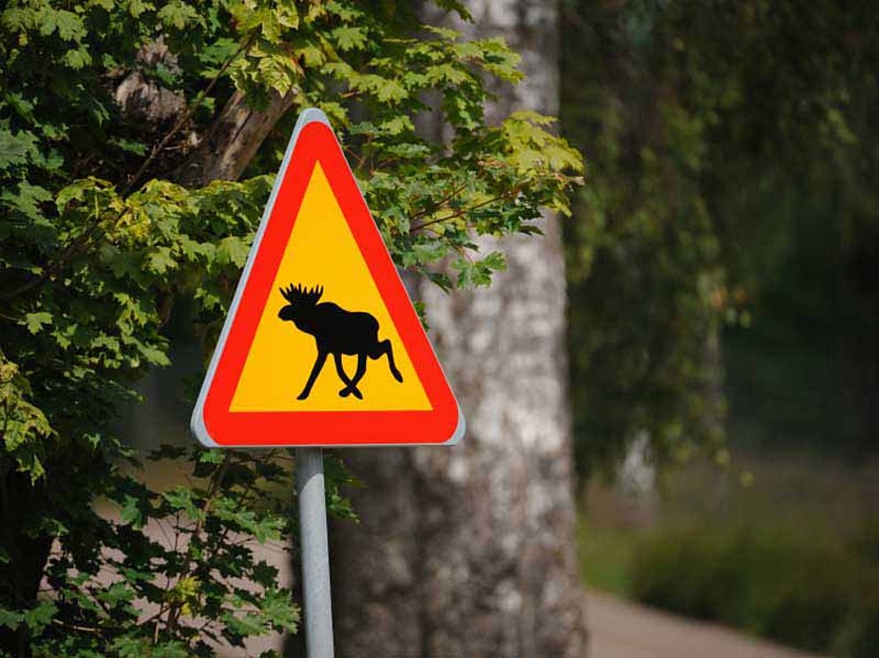 Verkehrsschild mit Elch in Schweden